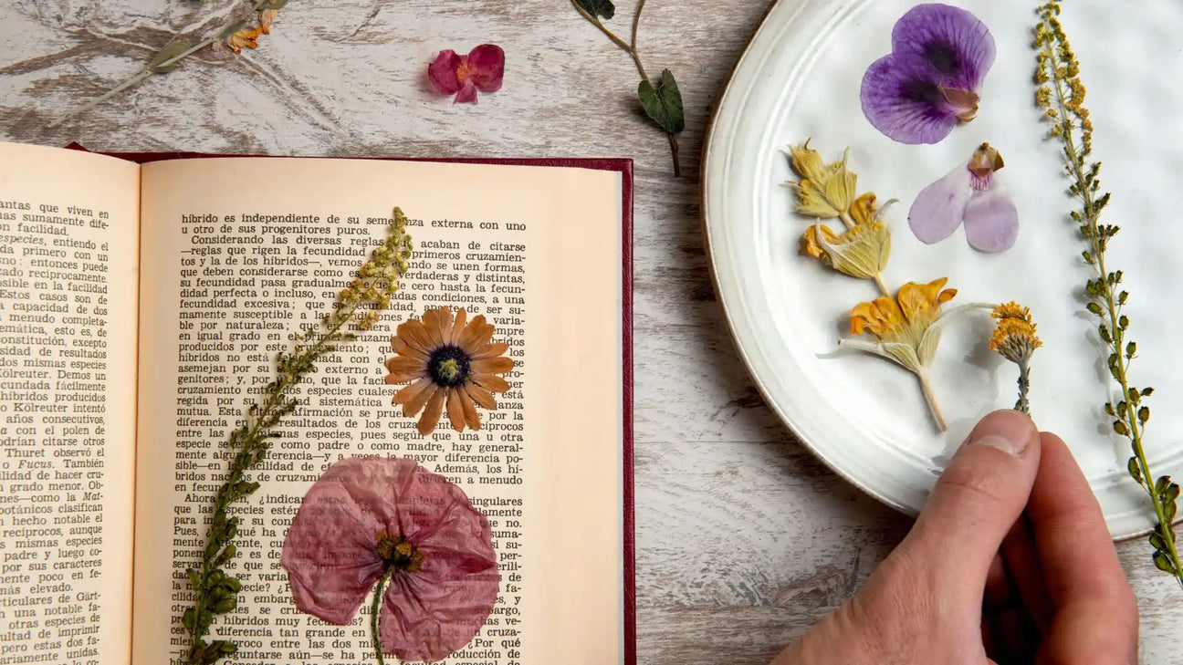 Ceramic’arte für den Alltag mit Seele: Warum unsere Objekte mehr erzählen, als du denkst